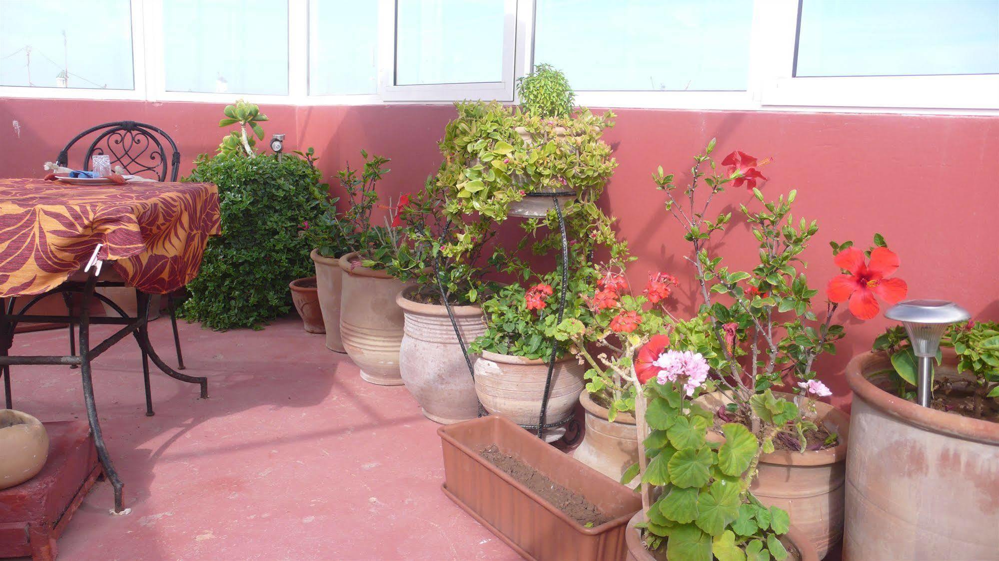 Riad Dar Latigeo Esauira Exterior foto
